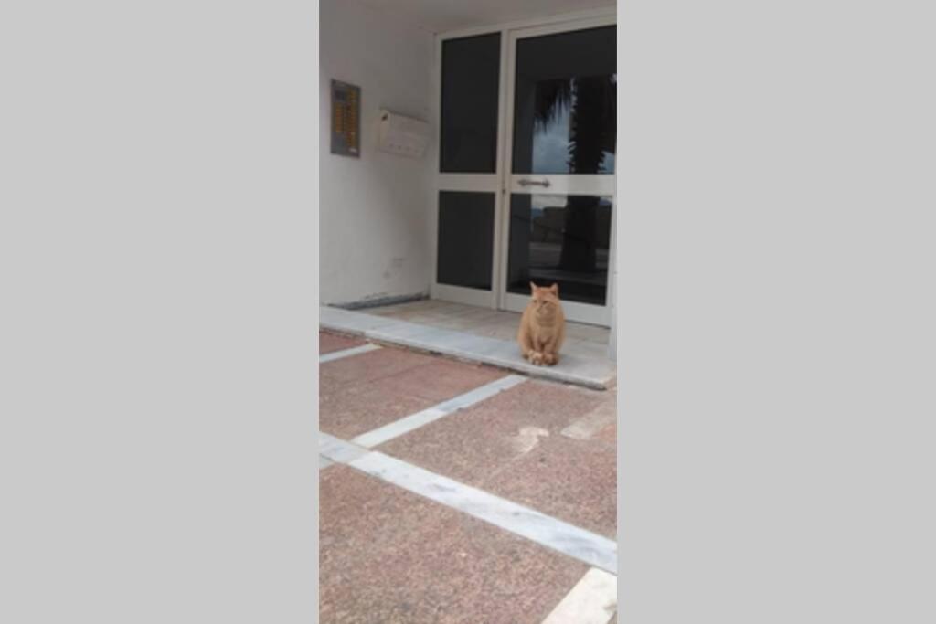 Captain'S Home Loutraki Exterior foto